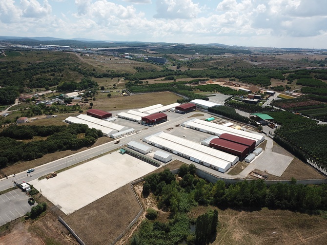 Pendik'te kurbanlık satış ve kesim alanı bu hafta sonu hizmete açılıyor