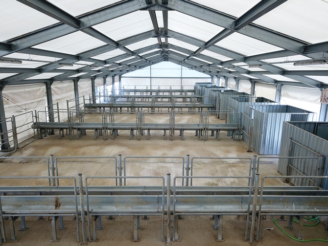 Pendik'te kurbanlık satış ve kesim alanı bu hafta sonu hizmete açılıyor