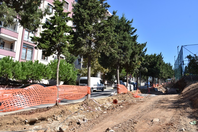 Pendik'te yol çalışmalarında ağaçlar korunuyor