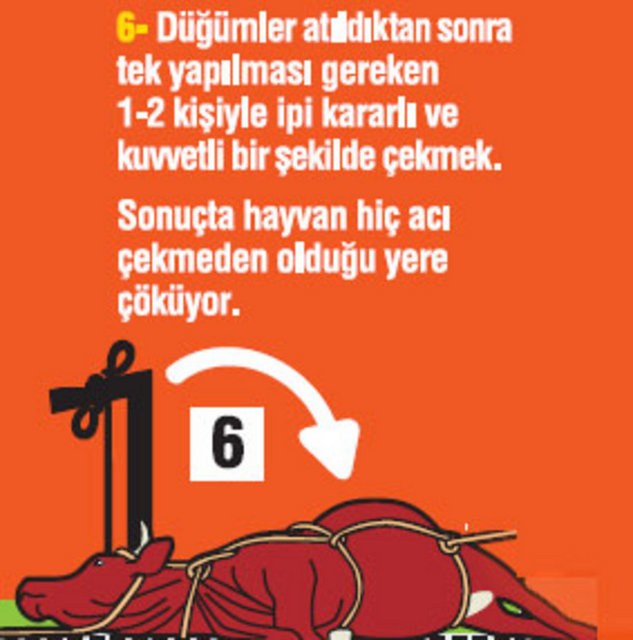 Kurbanlık nasıl yatırılır?