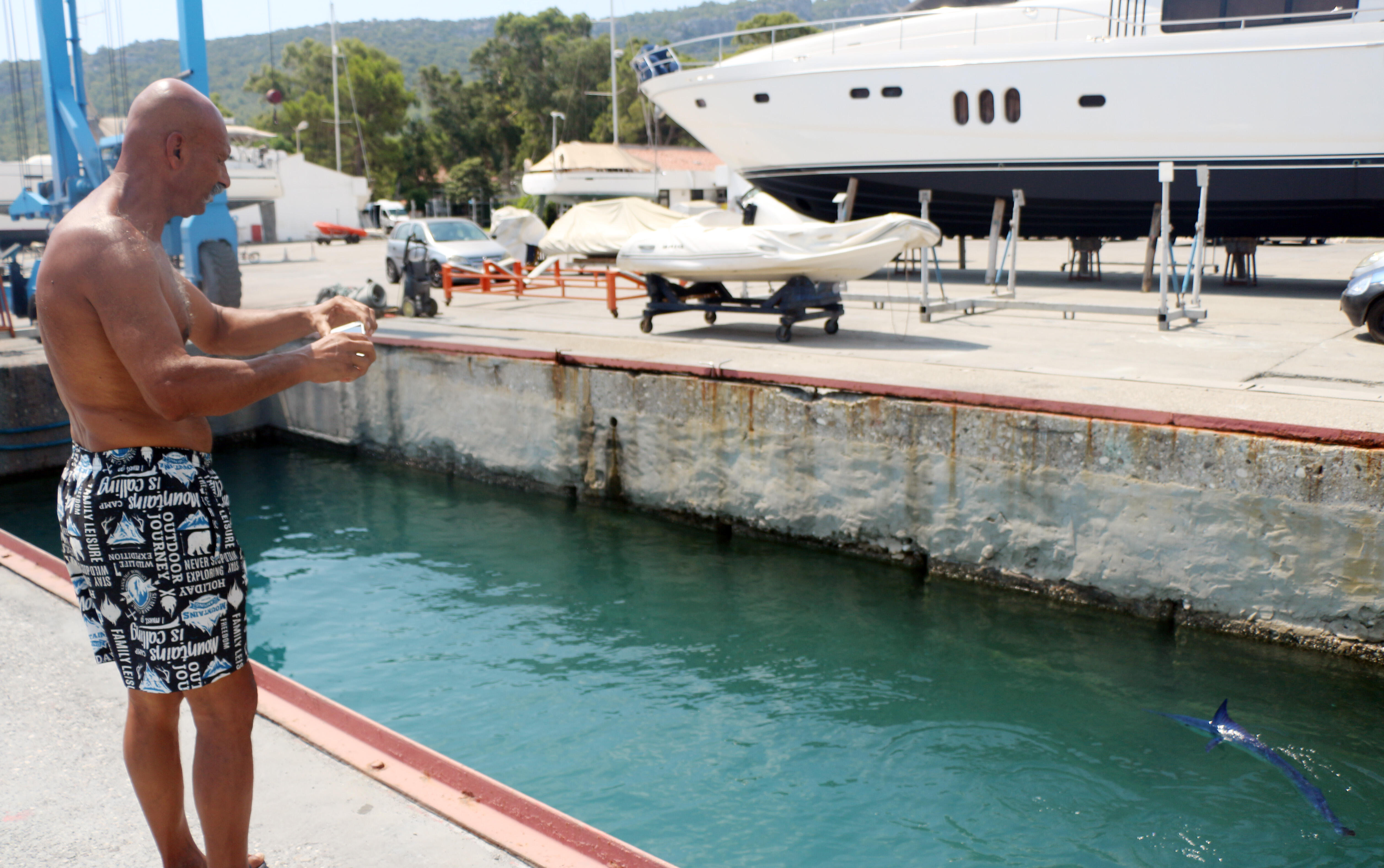 Ondan hızlısı yok! Mavi yelken balığı Kemer'de görüntülendi