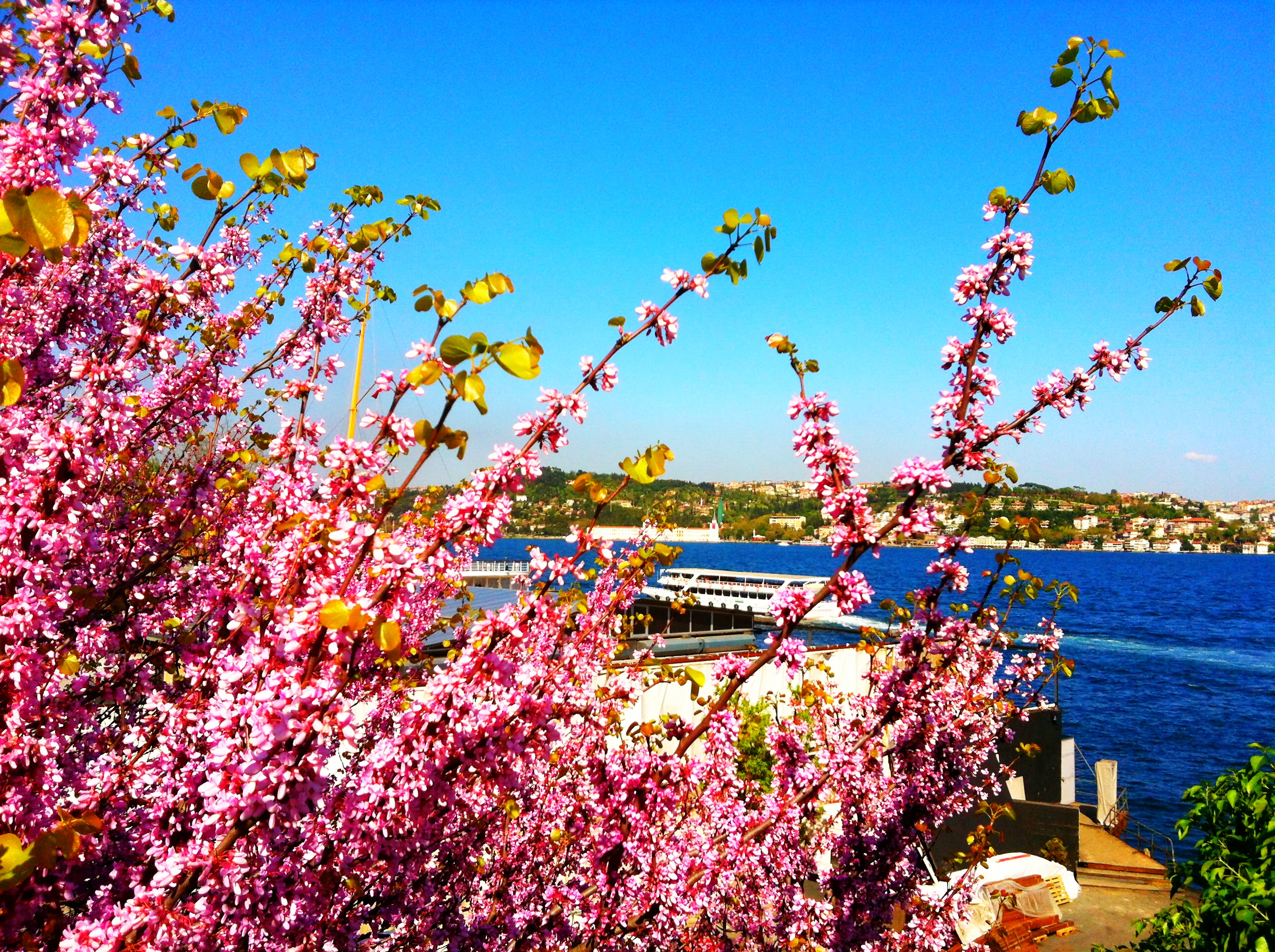 Atla Gel Şaban filminin konusu nedir? Oyuncuları kimdir? Nerede ve kaç yılında çekildi?