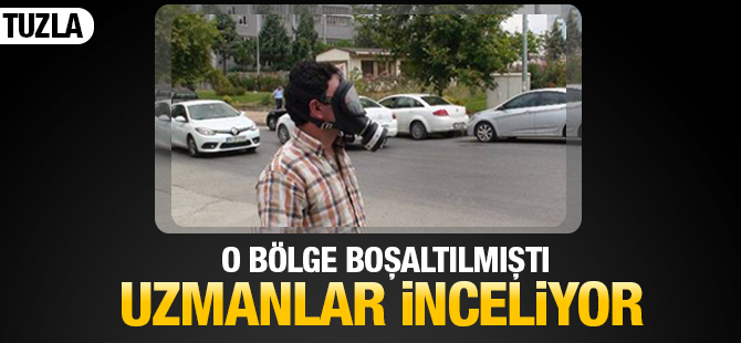 7572.jpg.png 7572.jpg.png