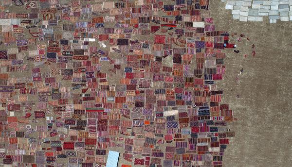 Antalya'da tarlalar halı açtı