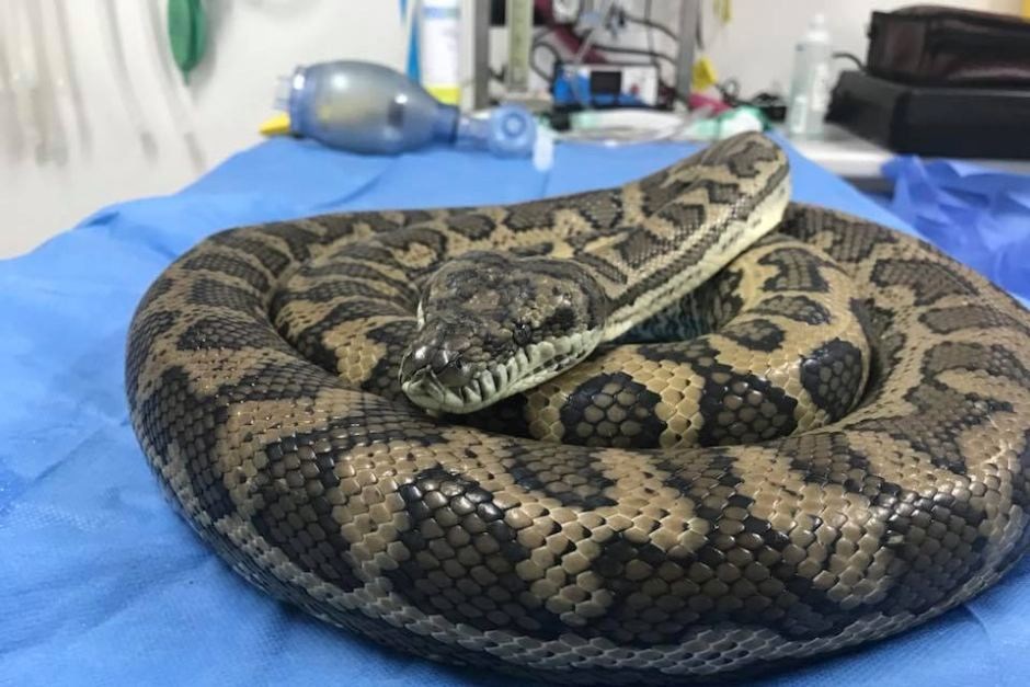 Ünlü oyuncudan korkutan dans