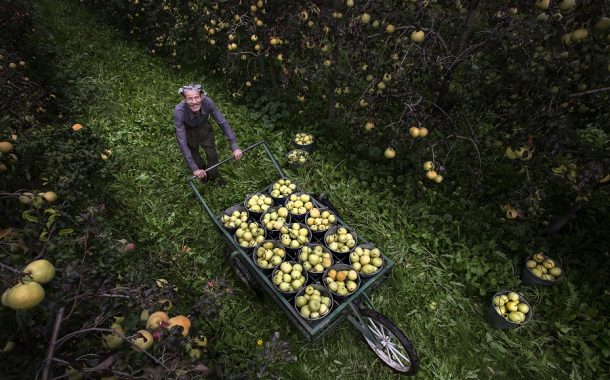 Dünya Çiftçiler Günü ne zaman? Dünya Çiftçiler Günü kutlama mesajları, sözleri