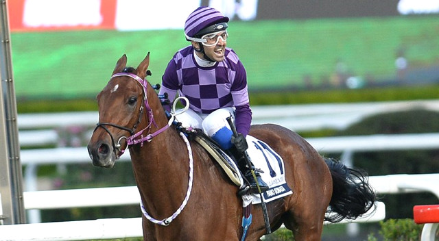 Tarihe geçen başarı! 92. Gazi Koşusu'nu Ahmet Çelik kazandı