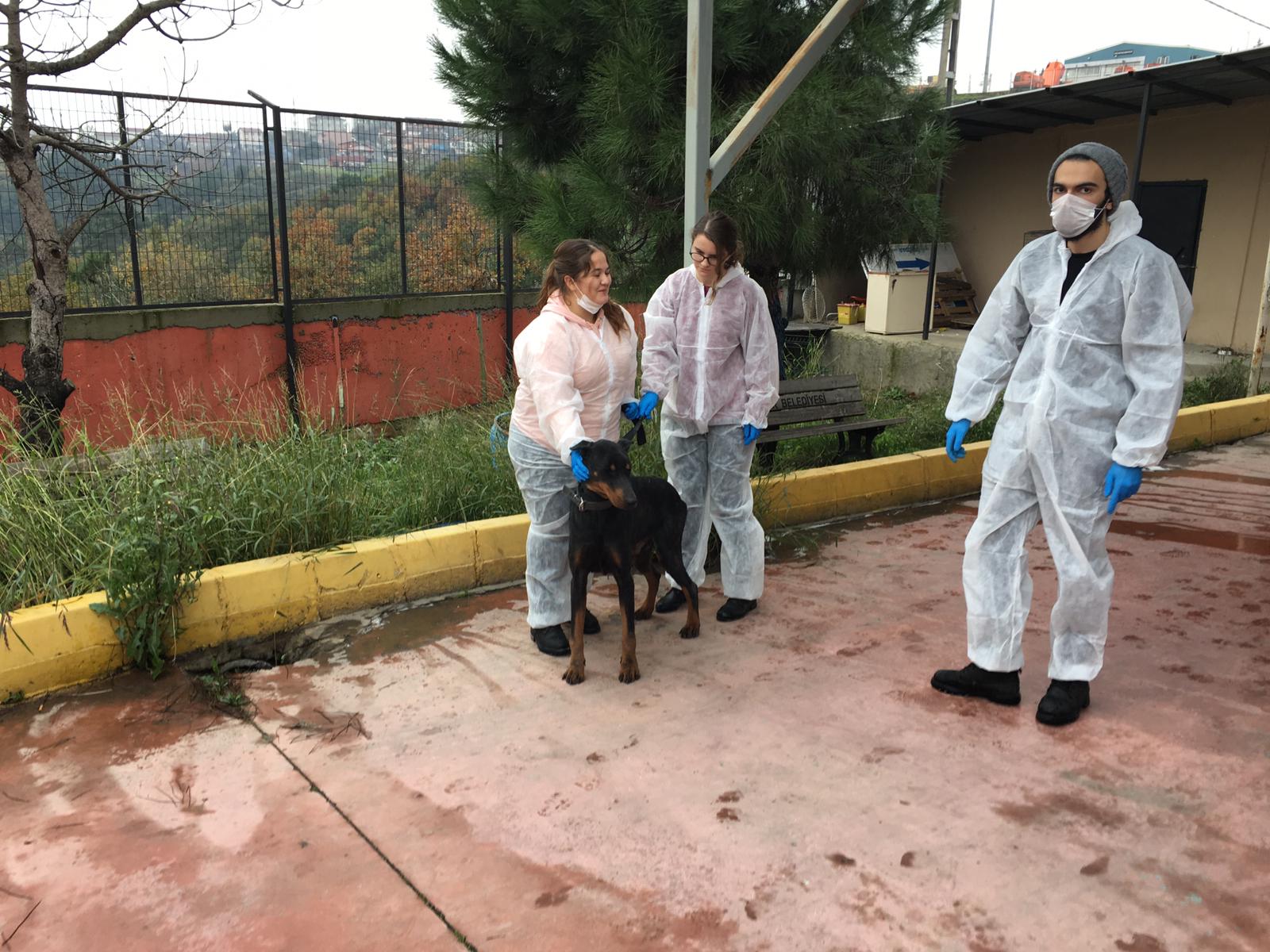 MÜHAK gönüllüleri hayvan barınaklarını ziyaret etti