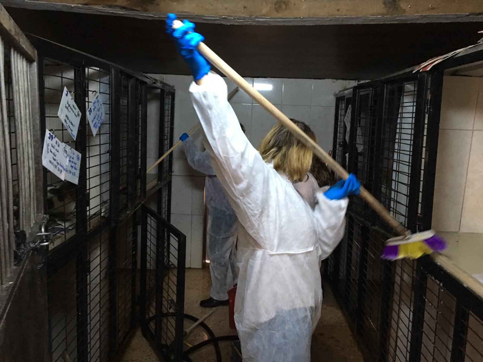 MÜHAK gönüllüleri hayvan barınaklarını ziyaret etti