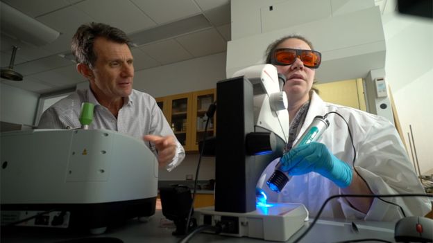 Hangi Su Markalarının Suyunda Plastik Bulundu