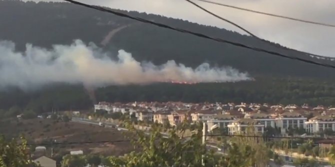 Pendik Kurtköy'de orman yangını çıktı!