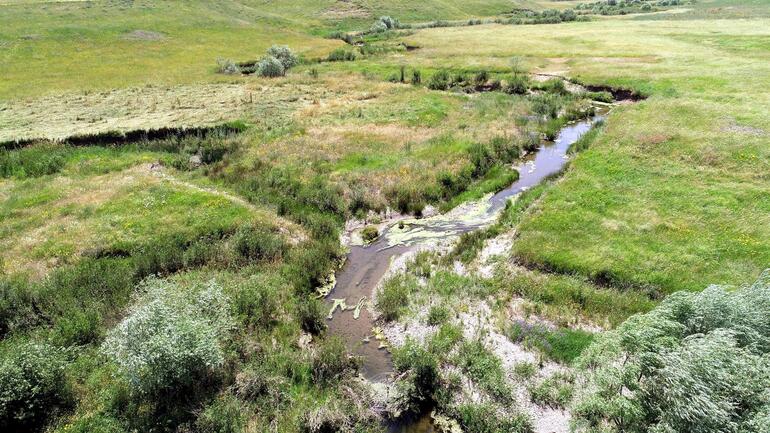 Küçük kızın 18 gün sonra cansız bedeni bulunmuştu! Flaş gelişme...