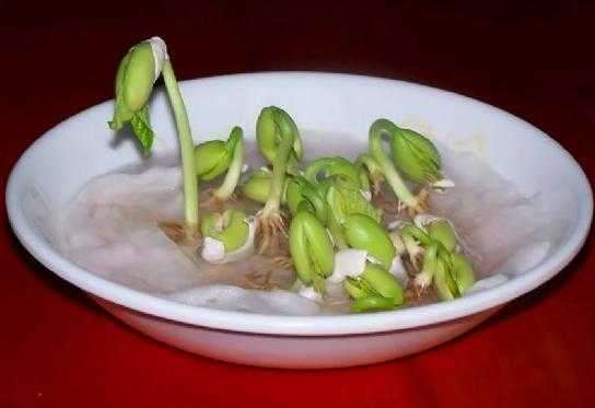 Sadece 80' lerde Doğanların Bileceği Nostaljik Nesneler