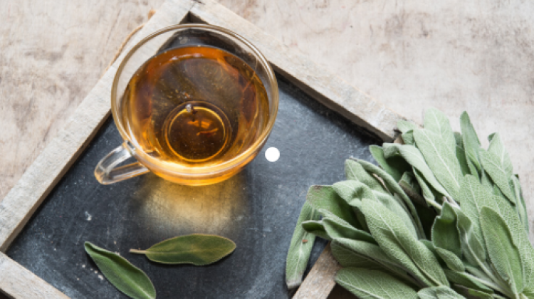 Adaçayı'nın faydaları nelerdir? Adaçayı zayıflatır mı, nasıl demlenir?