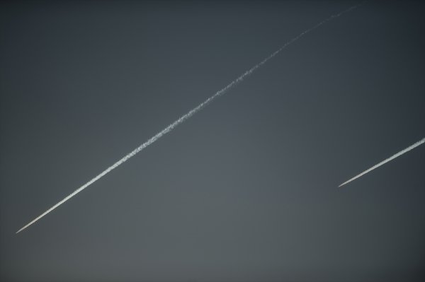 Afrin Harekatına neden Zeytin Dalı adı verildi? Zeytin Dalı nedemek?