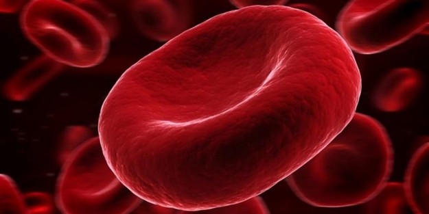 Akdeniz anemisi nedir? Akdeniz anemisi belirtileri nelerdir? Ölümcül müdür?