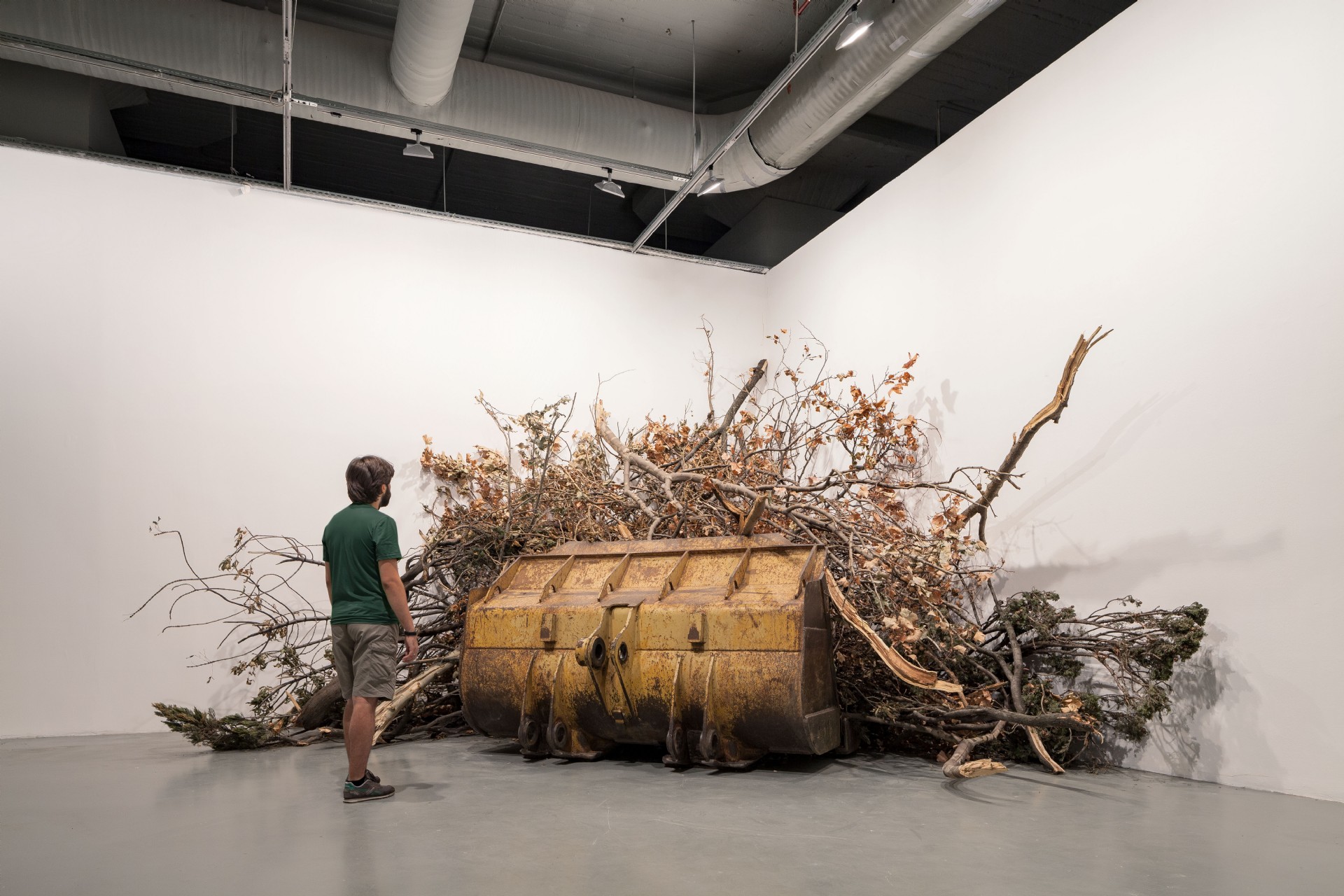 Venedik Bienali ne zaman? Venedik Bienali nedir?