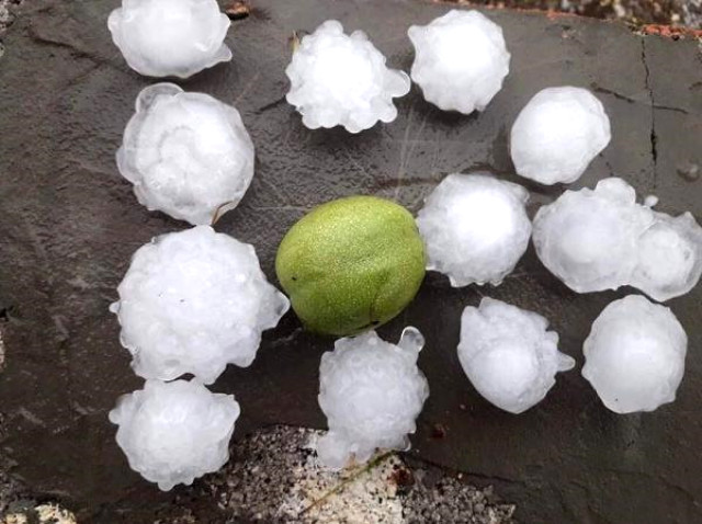 Antalya'da korku dolu anlar! Ceviz büyüklüğünde...