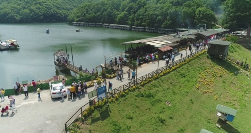 İstanbul Şile'de çardak çöktü: Çok sayıda kişi yaralı