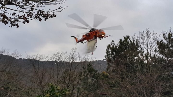 Aydos Ormanı'nda Yangın Çıktı!