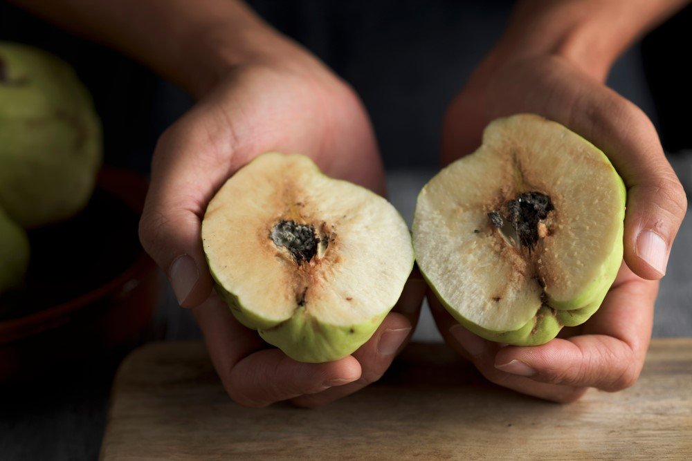 Ayvanın faydaları ve zararları nelerdir? Ayva neye iyi gelir?
