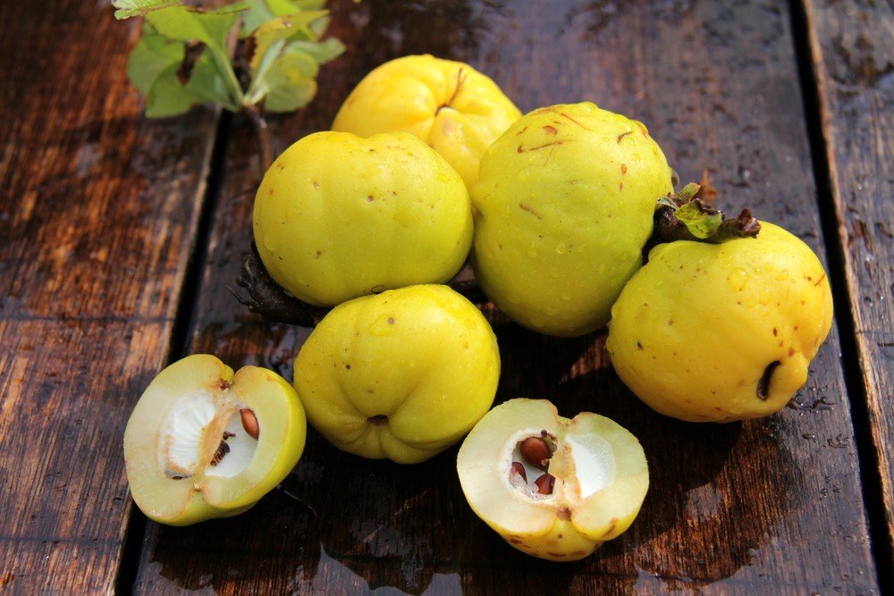 Ayvanın faydaları ve zararları nelerdir? Ayva neye iyi gelir?