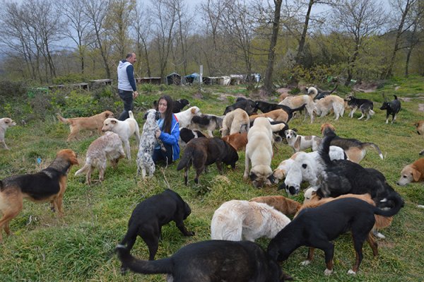 Fenerbahçe'de gündem yeni teknik direktör