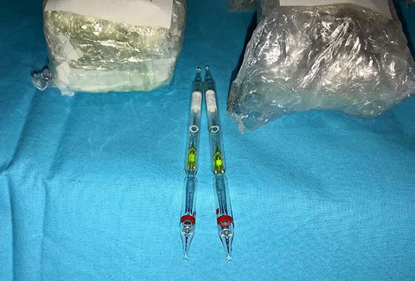 Bilecik'te 93 Tüp Kobra Yılanı Zehri