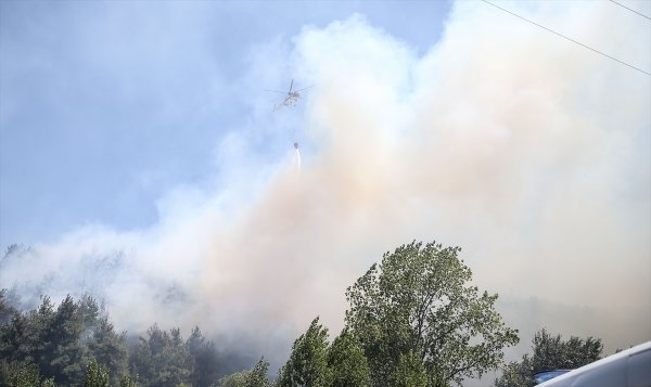 Bursa'da orman yangını