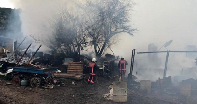 Büyükada'da yangın çıktı: 7 at telef oldu