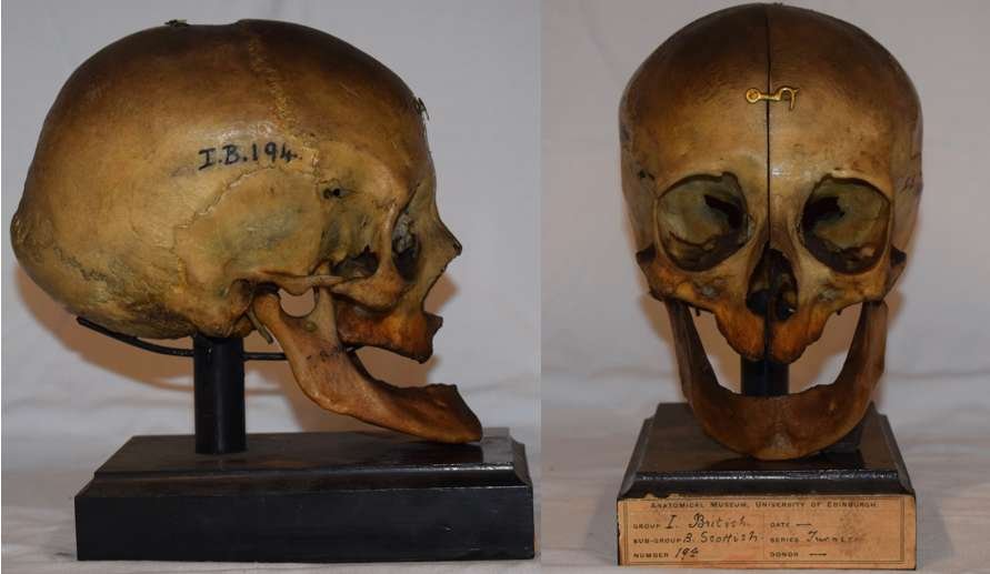 Tam 2000 yaşında! İsmi ise Druid...