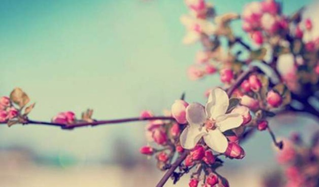 Cemre'nin anlamı nedir , Cemre ne zaman düşer