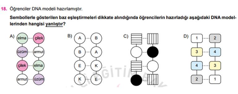 LGS Nedir? | İşte Soru Örnekleri 