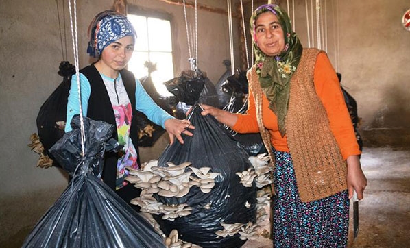 Devlet desteğiyle başladı! Şimdi para basıyor