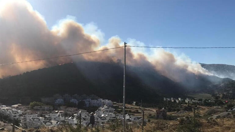 Korku dolu anlar! Yazlık sitelerin yanında yangın!