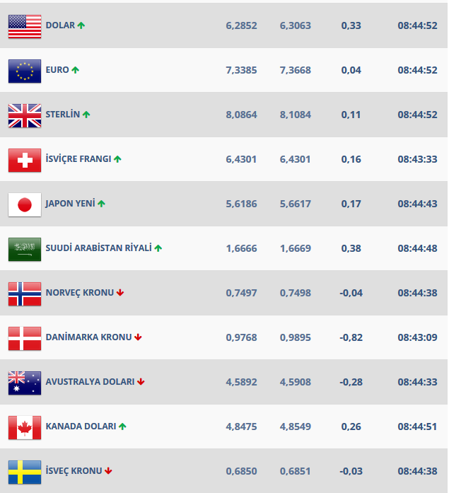 Dolar ne kadar oldu? | 1 dolar kaç TL |29 Ağustos dolar-euro fiyatları son durum