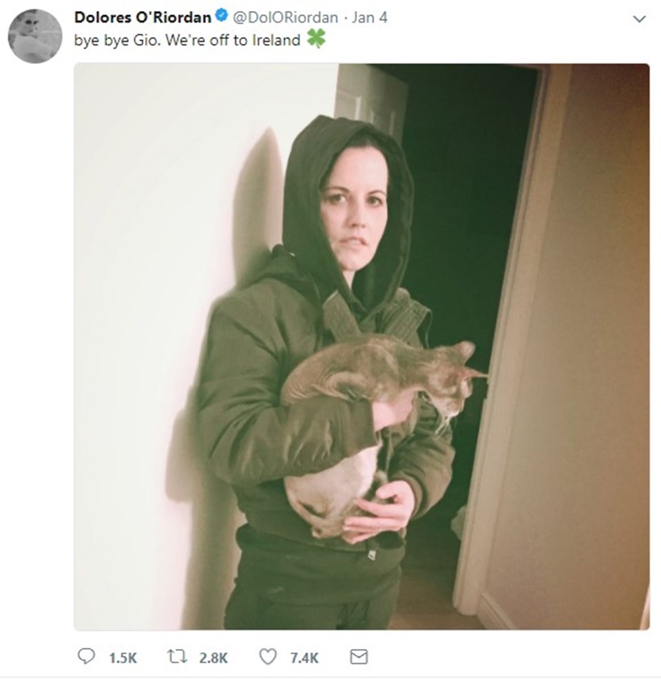 Cranberries'in Solisti Hayatını Kaybetti! | Dolores O'Riordan Kimdir? 