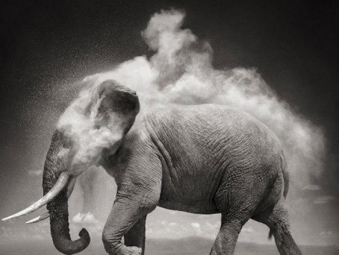 Dünyanın En Güzel Fotoğrafları, En Güzel Profil Fotoğrafları