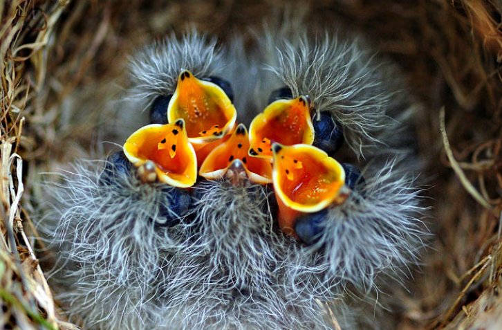 Dünyanın En Güzel Fotoğrafları, En Güzel Profil Fotoğrafları