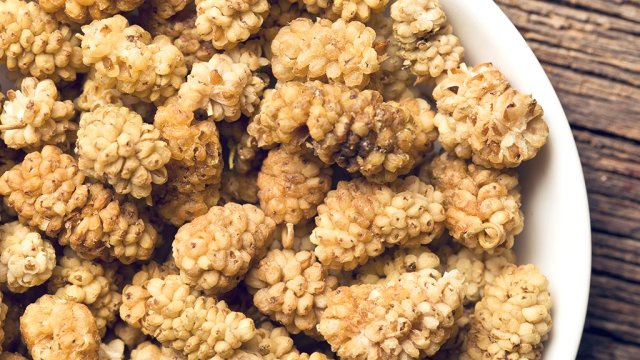 Kuru dutun faydaları nelerdir? Hangi hastalıklara iyi gelir?