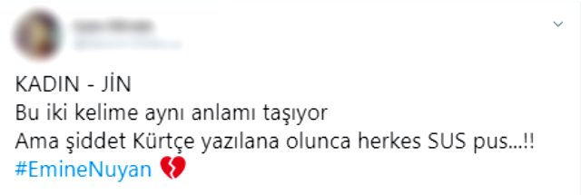 Sosyal medyadan haklı isyan: Emine Nuyan'ın sokak ortasında vahşice öldürülmesi gündem olmadı