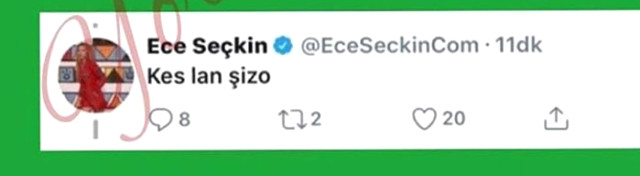 Ece Seçkin tepki çeken yorum: ' Kes lan şizo!'