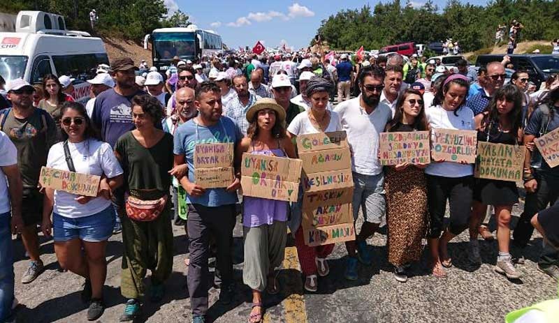 Kaz Dağları nerede? Kaz Dağları neden kesiliyor?