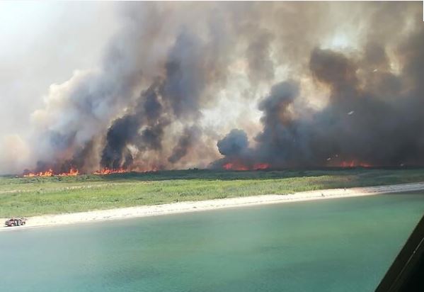 Edremit alev alev yanıyor! Yerleşim yerlerine yaklaştı...