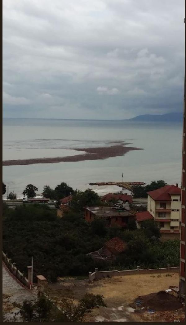 Ordu'da sel fındıklıkları da vurdu! Tonlarca fındık denize döküldü