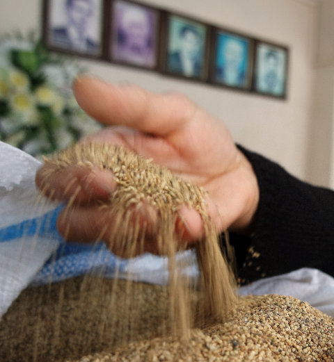 Evli çift İtalya kapısını araladı