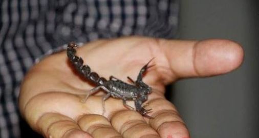 Dünya peşinde! Her yerden teklif yağıyor