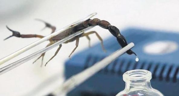 Dünya peşinde! Her yerden teklif yağıyor