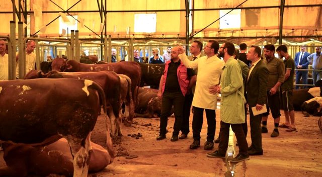 Ekrem İmamoğlu'ndan kurban bayramı öncesi uyarı