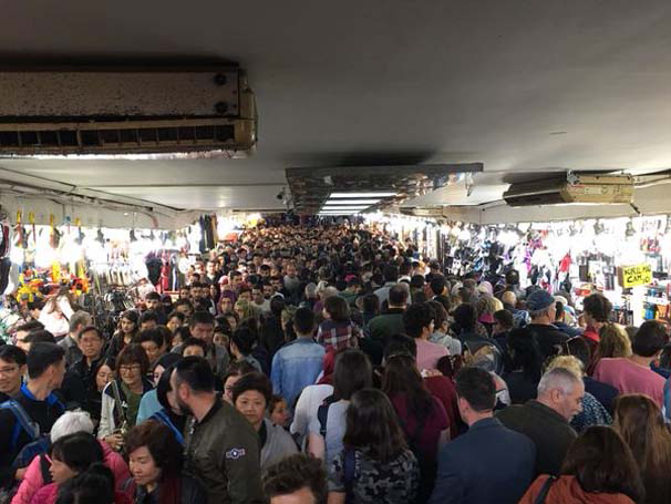 Eminönü'de Balık-Ekmek İzdihamı!